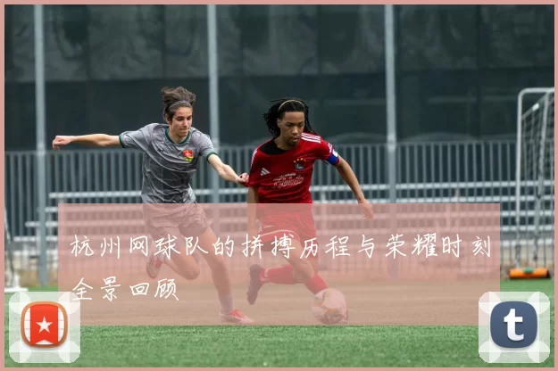 杭州网球队的拼搏历程与荣耀时刻全景回顾