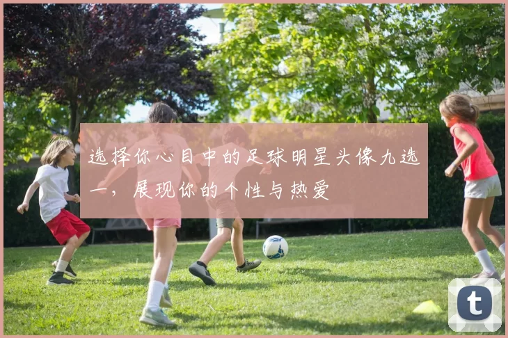 选择你心目中的足球明星头像九选一，展现你的个性与热爱
