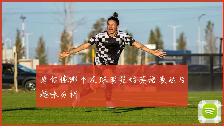 看你像哪个足球明星的英语表达与趣味分析