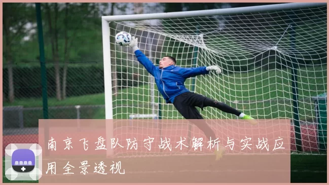 南京飞盘队防守战术解析与实战应用全景透视