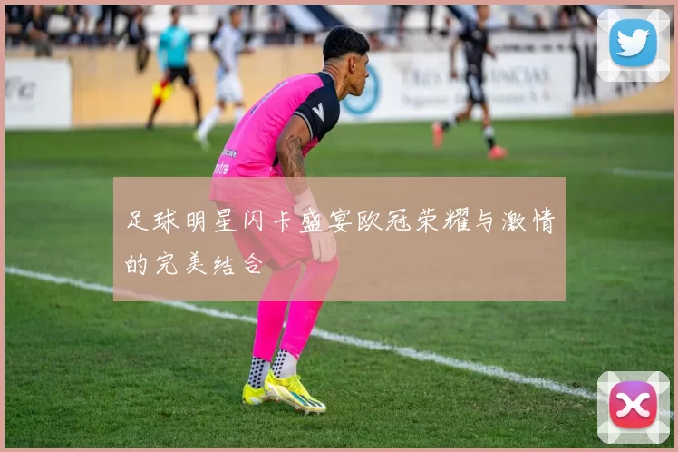 足球明星闪卡盛宴欧冠荣耀与激情的完美结合