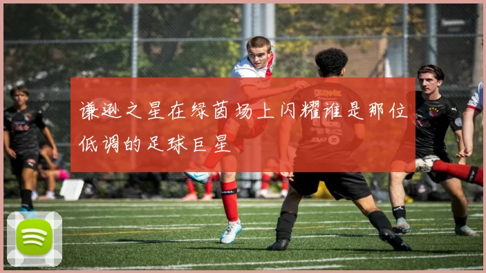 谦逊之星在绿茵场上闪耀谁是那位低调的足球巨星