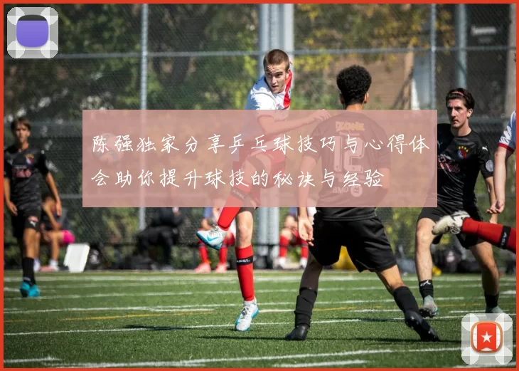 陈强独家分享乒乓球技巧与心得体会助你提升球技的秘诀与经验