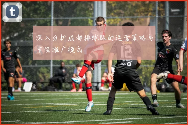 深入分析成都排球队的运营策略与市场推广模式