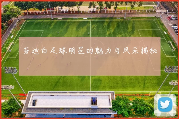 芬迪白足球明星的魅力与风采揭秘