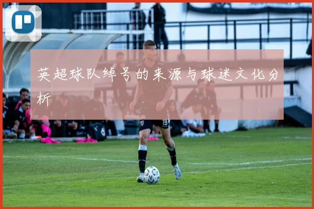 英超球队绰号的来源与球迷文化分析