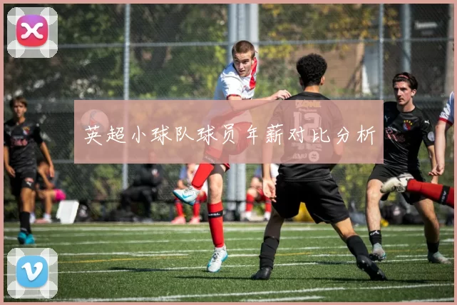 英超小球队球员年薪对比分析