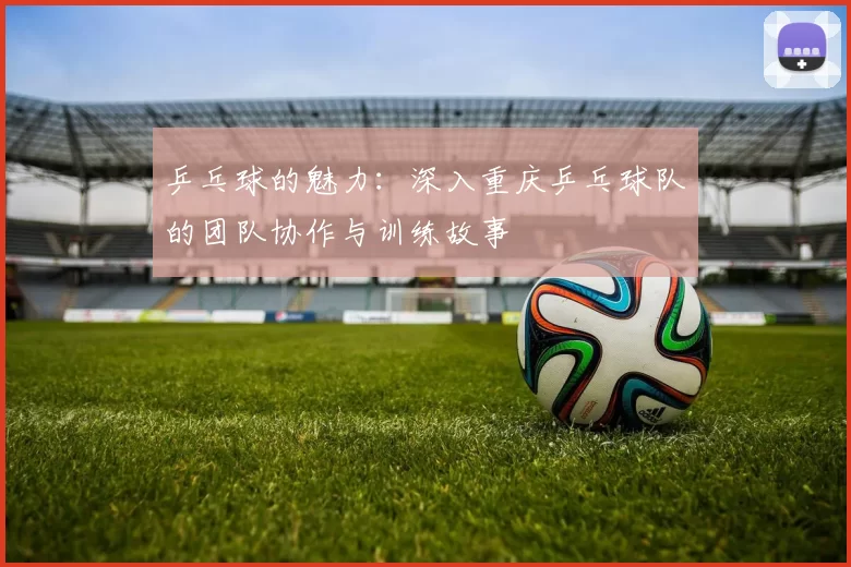 乒乓球的魅力：深入重庆乒乓球队的团队协作与训练故事