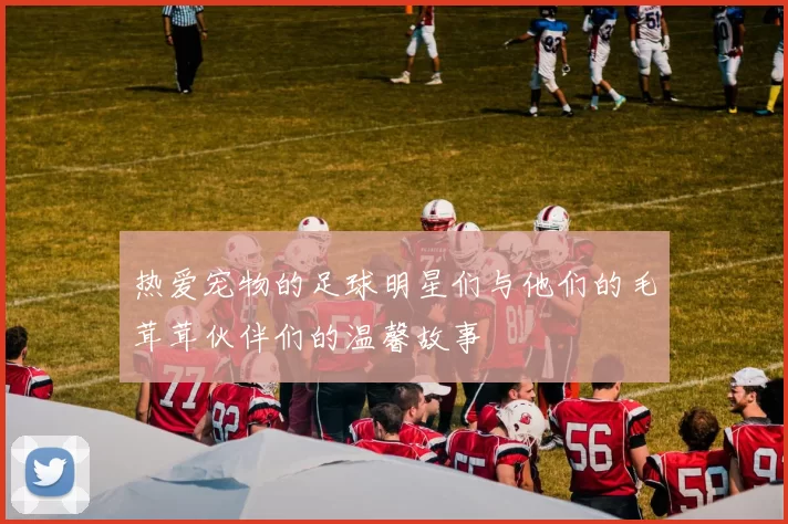 热爱宠物的足球明星们与他们的毛茸茸伙伴们的温馨故事