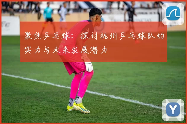 聚焦乒乓球：探讨杭州乒乓球队的实力与未来发展潜力