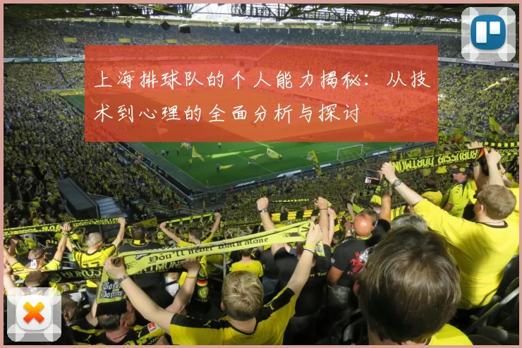 上海排球队的个人能力揭秘：从技术到心理的全面分析与探讨