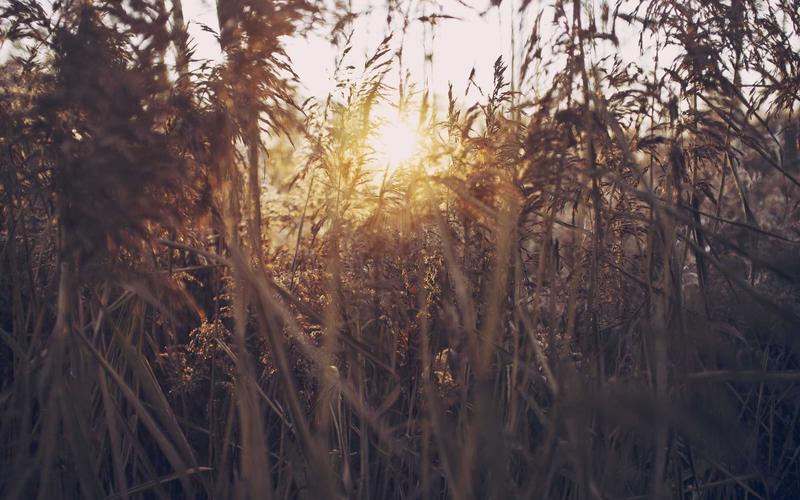 城商行智能客服与营销平台